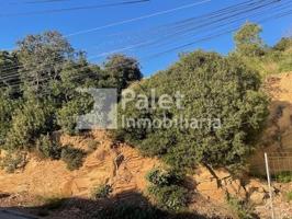 Solar edificable en Urbanización Cesalpina – Exclusividad y naturaleza en 528 m² photo 0