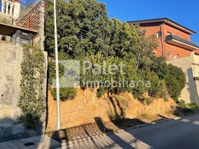 Solar edificable en Urbanización Cesalpina – Exclusividad y naturaleza en 528 m² photo 0