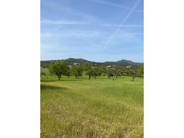 Terreno en venta en Cala Figuera (Mallorca) photo 0