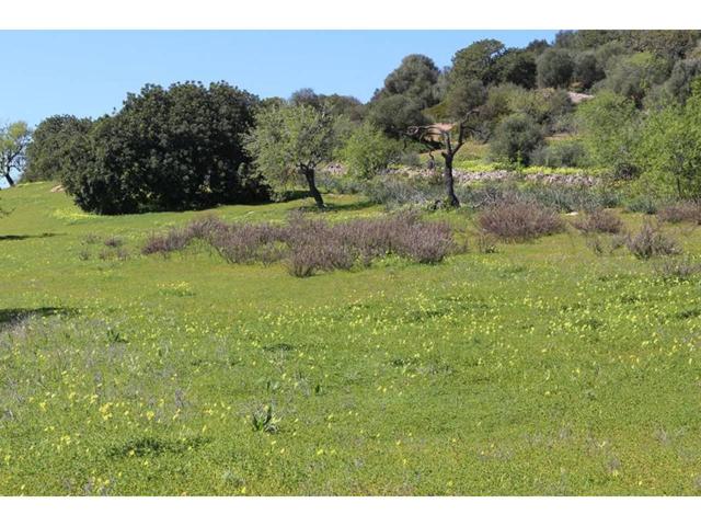 Terreno Urbanizable En venta en Cala Figuera (mallorca) photo 0