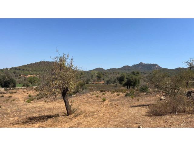 Terreno en venta en Es Caritxo photo 0