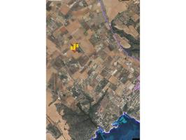 Es Llombards finca con proyecto aprobado photo 0