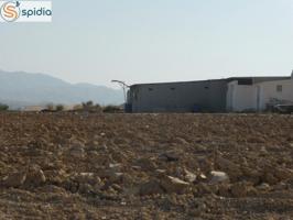 VENTA FINCA RUSTICA EN LOS GALLARDOS 8,35 HAS RIEGO 14.30 HORAS C.R LA ALCORNIA photo 0