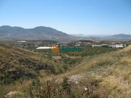 Parcela de 3Ha en pueblo de Goñar, cerca de Lorca y Pto Lumbreras con vistas panorámicas photo 0