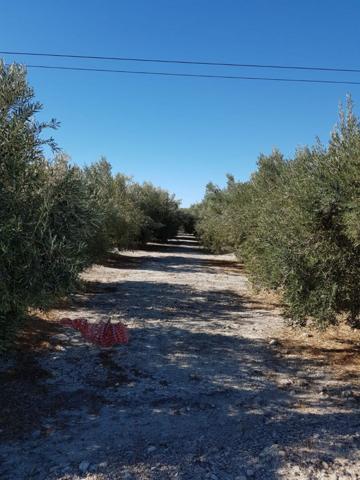 Terreno Urbanizable En venta en Pueblo - Paraje La Jaira, Abanilla photo 0