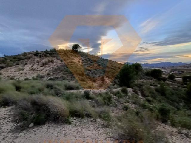 SE VENDE PARCELA EN MOLINA DE SEGURA photo 0