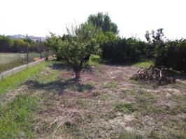 Terrenos Edificables En venta en La Ribera, Molina De Segura photo 0