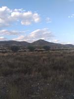 SE VENDE PARCELA EN JUMILLA photo 0