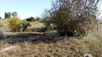 SE VENDE PARCELA RÚSTICA EN EL LLANO DE MOLINA photo 0