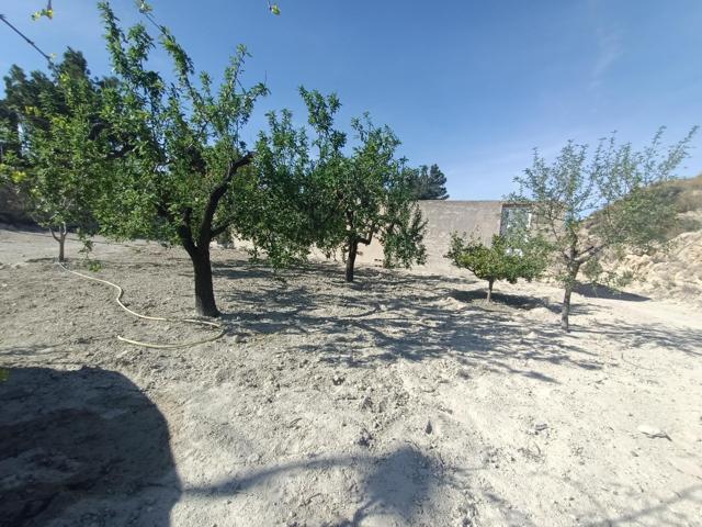 SE VENDE CASA CON PARCELA EN EL RELLANO DE MOLINA DE SEGURA photo 0