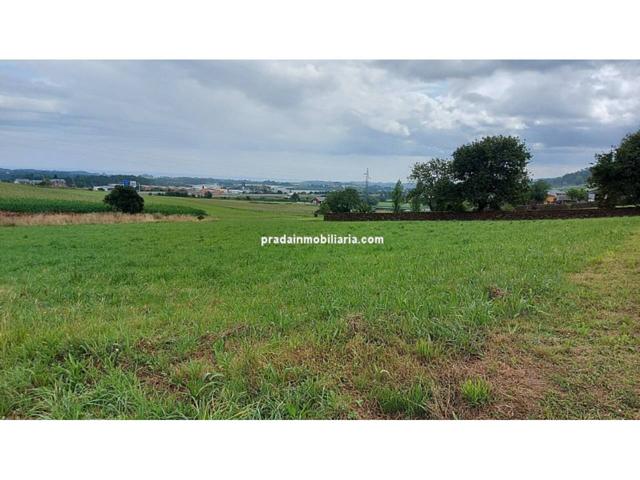 Terreno en venta en Torce (Coaña) photo 0