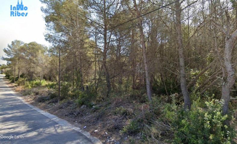 TERRENO RURAL en VENTA - CAN LLOSES - SANT PERE DE RIBES - BARCELONA photo 0