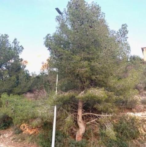 Parcela en venta en Segur de Calafell photo 0