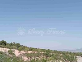 Suelo rústico en Venta en Jumilla Murcia photo 0