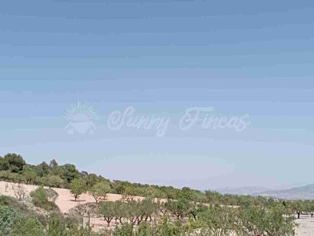 Suelo rústico en Venta en Jumilla Murcia photo 0