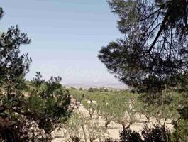 Suelo rústico en Venta en Jumilla Murcia photo 0