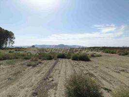 Suelo urbanizable en Venta en Villena Alicante photo 0