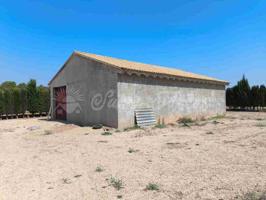 Casa de campo-Masía en Venta en Caudete Albacete photo 0