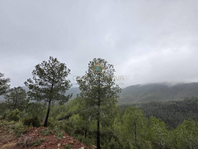 Chalet pareado en venta en La iglesia photo 0