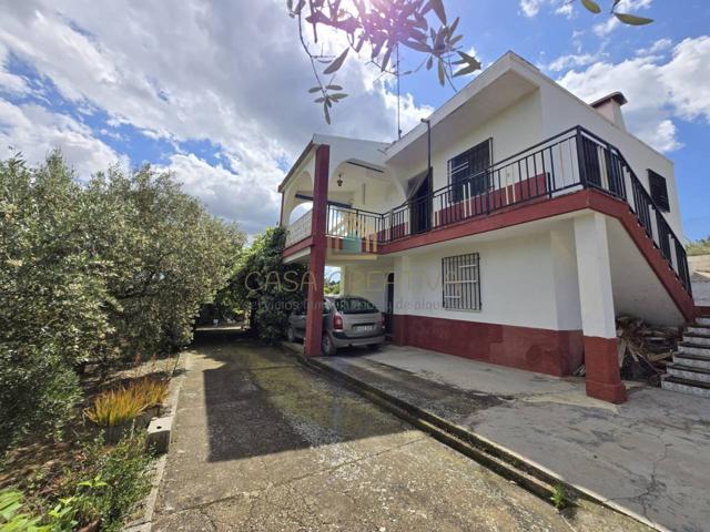 Casa o chalet independiente en venta en Poligono 15, Parcela 295, El Rincon s-n photo 0