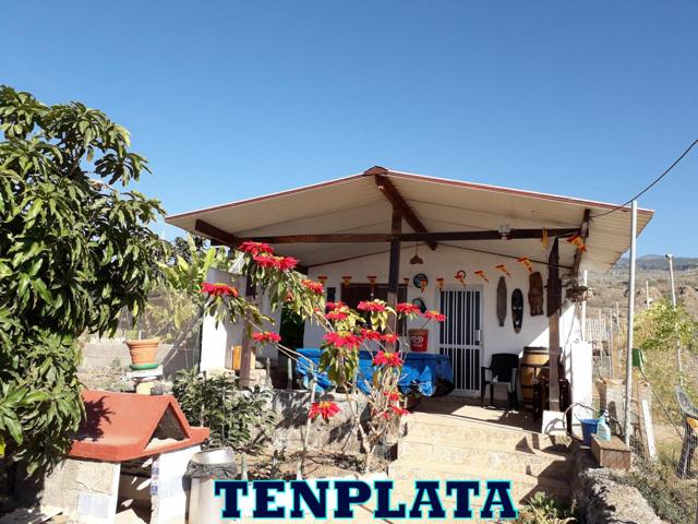 Finca con casa a reformar en Adeje, Sur de Tenerife photo 0