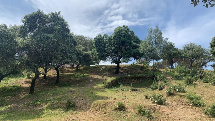 Terreno Urbanizable En venta en Calasancio, Córdoba photo 0