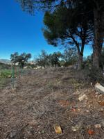 ¡¡ TERRENO UBICADA ZONA LA COLINA!! photo 0