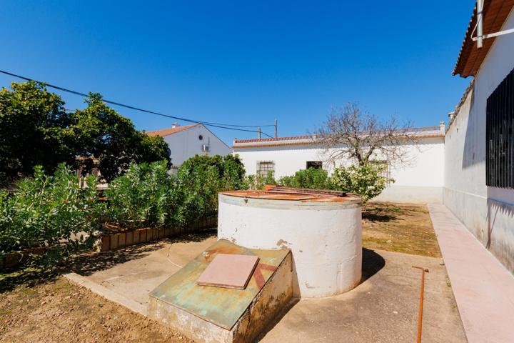 ¡¡FINCA EN LA CARLOTA CHICA, IDEAL COMO HOGAR, O CASA RURAL!! photo 0