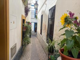 ¡¡SOLAR A UN PASO DE LA RIBERA!! photo 0