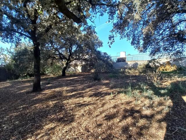 ¡¡ TERRENO EN CARRERA DEL CABALLO - COLINA, CERCA PARAÍSO DEL ARENAL !! photo 0