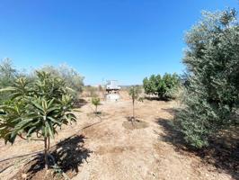 ¡¡ PARCELA HIPOTECABLE CON NAVE PARA REFORMAR EN ENCINAREJO DE LOS FRAILES JERÓNIMOS !! photo 0