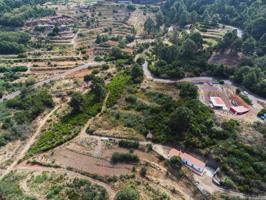 Finca rústica con potencial turístico y agrícola en Llano Negro (Garafía – La Palma) photo 0