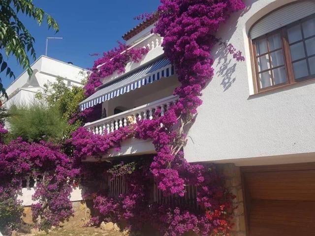 Venta de chalet unifamiliar en Mont-roig del Camp photo 0