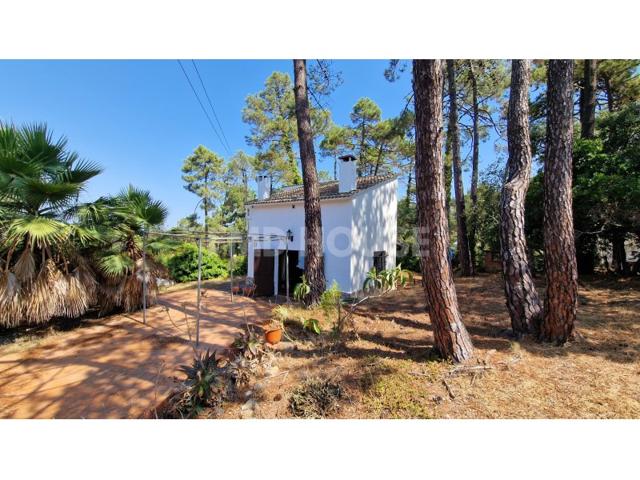 Piso En venta en Lloret De Mar photo 0