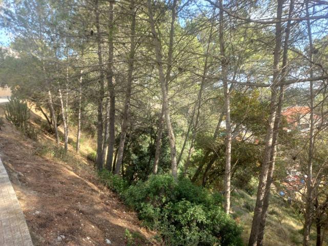 TERRENO URBANIZABLE CON POSIBILIDAD DE PROYECTO DE OBRA NUEVA photo 0