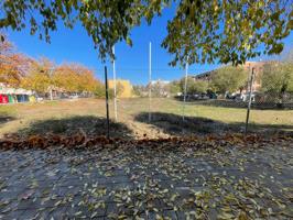 Terreno en venta en Plaza de Toros-La Guija-Santa María-Ciudad Jardín-Los Rosales(13005) photo 0