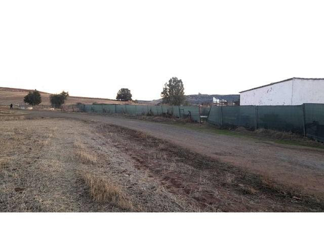 Venta de Terreno en Corral de Calatrava-Ciudad Real. photo 0