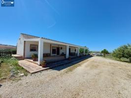 FINCA EN ARCOS photo 0