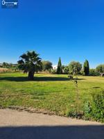 FINCA RUSTICA EN JEREZ photo 0