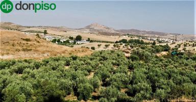 Venta de parcela rústica de olivos en Otura (Granada) photo 0