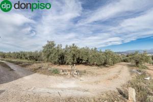 MAGNÍFICA PARCELA CERCANA A CTRA. DE URB. EL TORREÓN photo 0