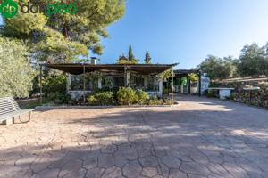Casa rural con 300 olivos de riego y almendras photo 0