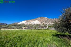 Terreno Rustico con Olivos Centenarios photo 0