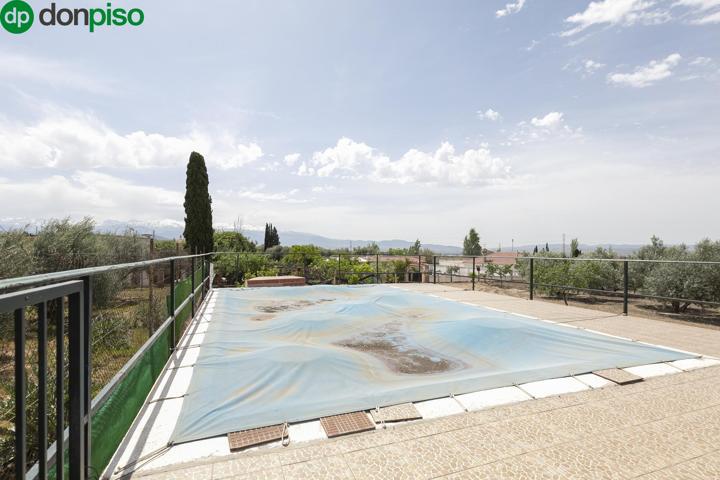 !!! OASIS A 5 MINUTOS DE GRANADA ¡¡¡ photo 0