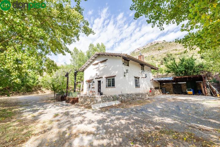 Gran finca con vivienda en Cogollos De La Vega photo 0