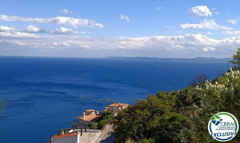 Muy bonito Piso luminoso con Vista mar incréible en Canyelles Roses photo 0