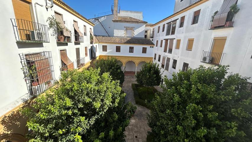 Amplio piso de 3 Dormitorios con garaje opcional en Zona Residencial Tranquila - Zona Calle Porvera photo 0