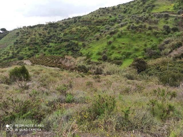Terreno Urbanizable En venta en Benamocarra photo 0