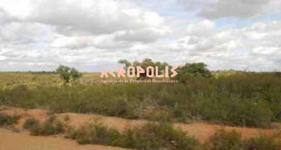 VENTA DE SUELO EN CORRALES DEL VINO photo 0