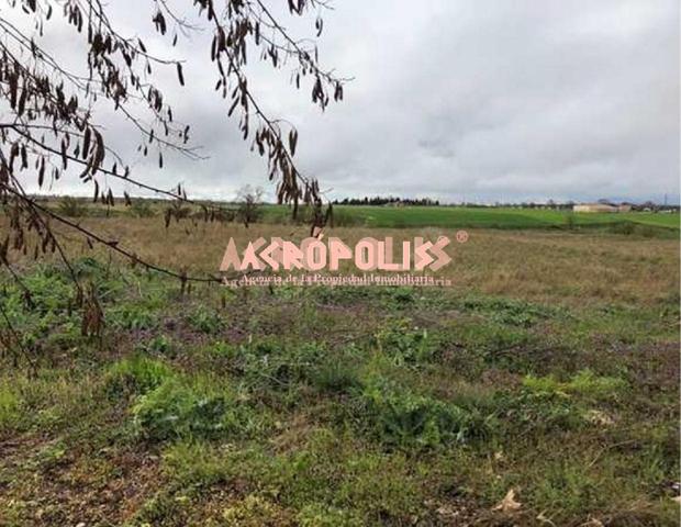 SUELO URBANIZABLE EN VENTA SUR , POLIGONO 11, PARCELA 282, TORO, ZAMORA photo 0